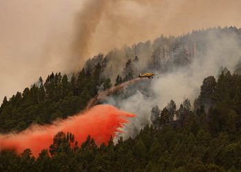 3 bin 273 hektarlık alan küle döndü