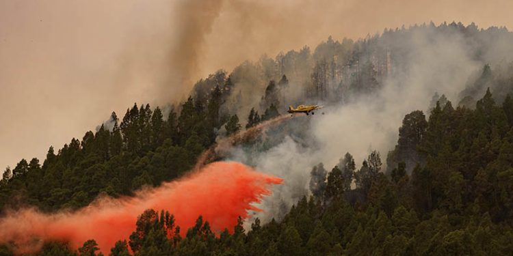 3 bin 273 hektarlık alan küle döndü