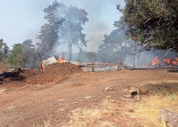 Bursa’da ağıl yangını