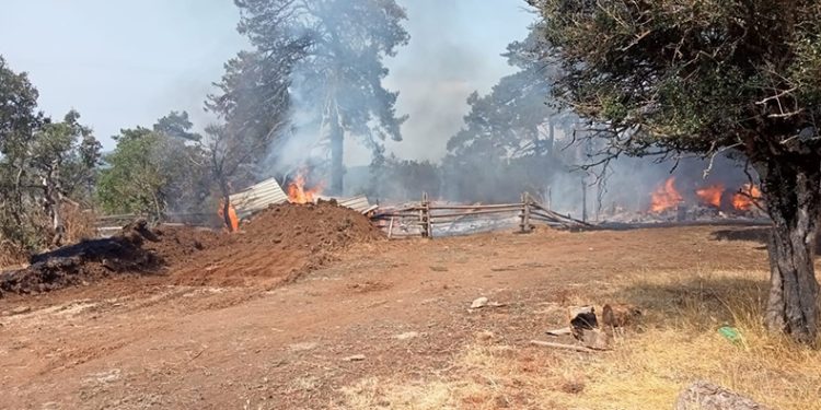 Bursa’da ağıl yangını