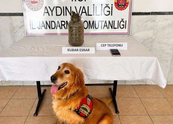 Kuyucak’ta uyuşturucu operasyonu