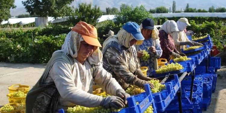 Sıcaklara sarık ve şapkalı önlem