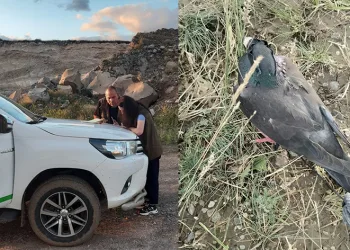 Kaçak avcılara geçit verilmedi