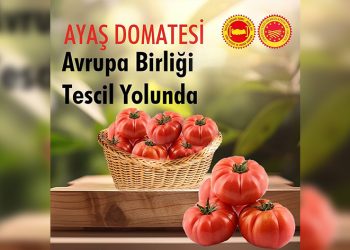 AB Resmi Gazetesi’nde yerini aldı