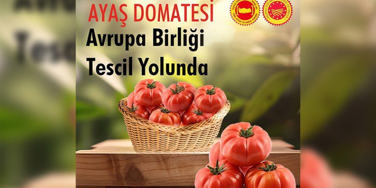 AB Resmi Gazetesi’nde yerini aldı