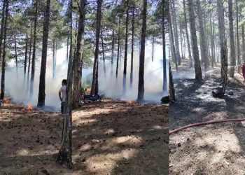 Milli parkta çıkan yangın büyümeden söndürüldü