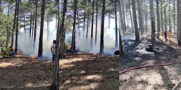 Milli parkta çıkan yangın büyümeden söndürüldü