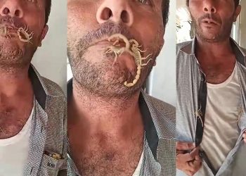 Akreplere kendini sokturdu, ‘Hayvan sevgisi’ dedi