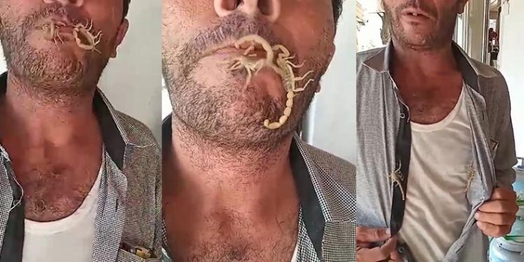 Akreplere kendini sokturdu, ‘Hayvan sevgisi’ dedi