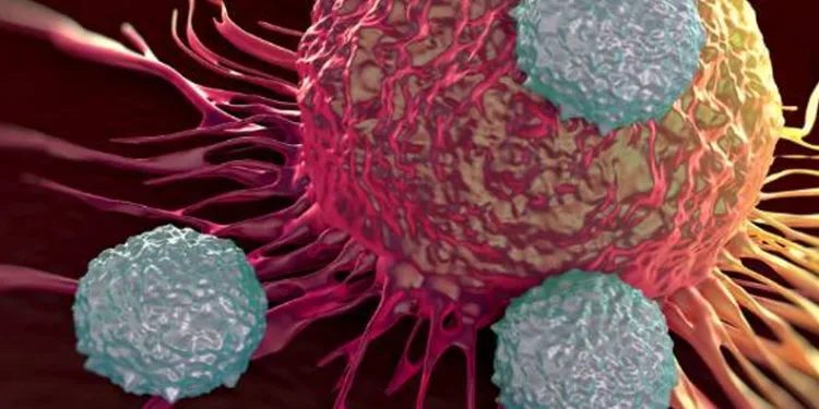 Yılda 6 bin kişi kansere yakalanıyor