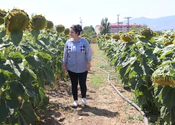 Organamineral gübre ile topraklarımız kurtarılacak