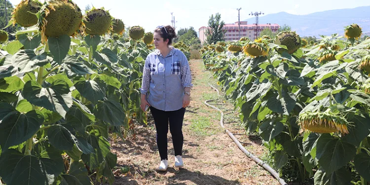 Organamineral gübre ile topraklarımız kurtarılacak