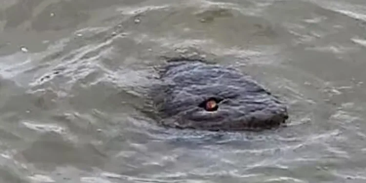 Thames Nehri’nde görüntülenen cisim