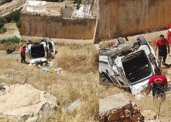 Hafif ticari araç şarampole yuvarlandı