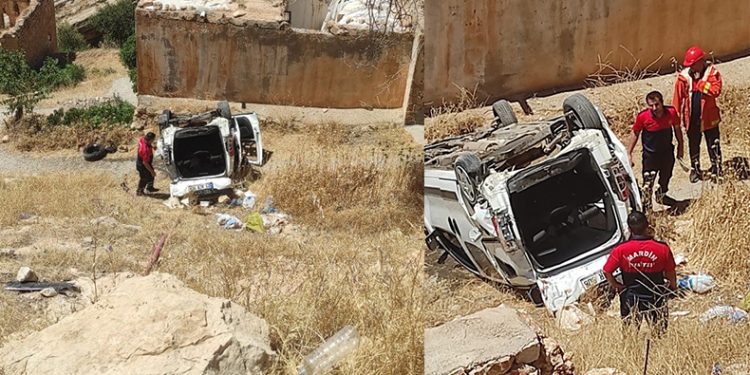 Hafif ticari araç şarampole yuvarlandı