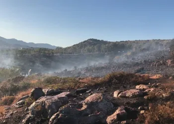 Orman yangınlarında sabotaj şüphesi