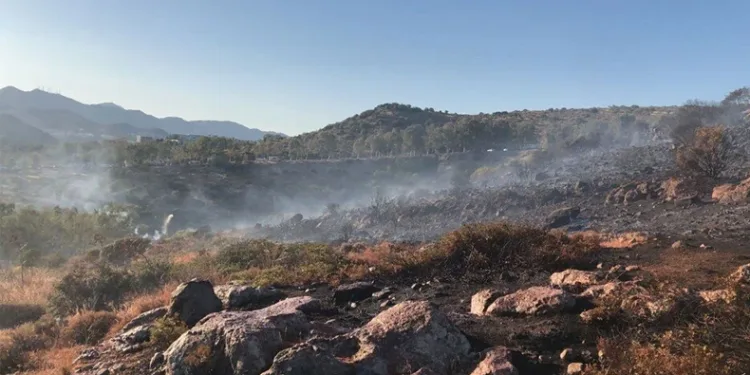 Orman yangınlarında sabotaj şüphesi