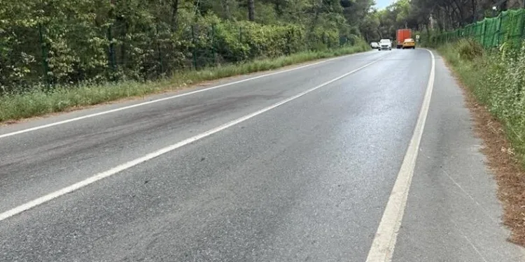 Orman yolunda kalaşnikoflu pusu