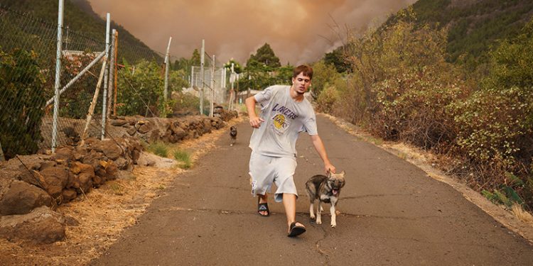 Tenerife Adası’ndaki yangın büyüyor