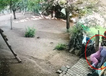 74 yaşındaki kadına saldırdılar