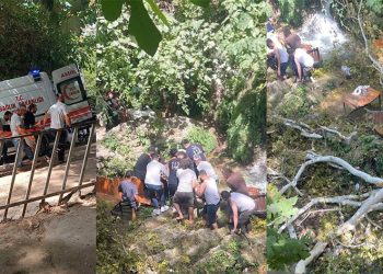 Üzerine dal düşen 3 kişi yaralandı