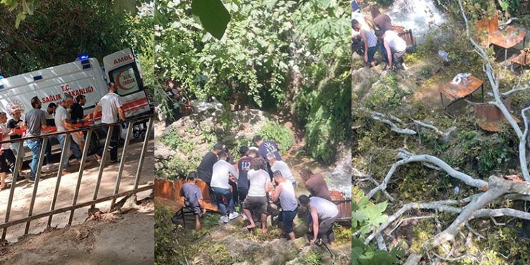 Üzerine dal düşen 3 kişi yaralandı