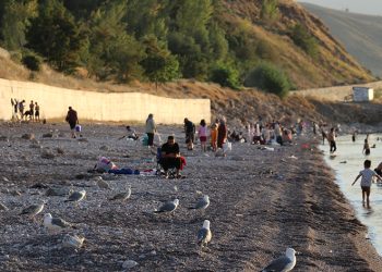 Van Gölü’nde yüzerek serinliyorlar