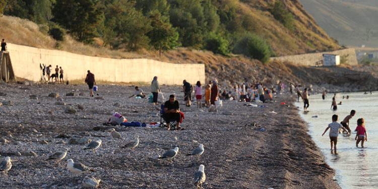 Van Gölü’nde yüzerek serinliyorlar