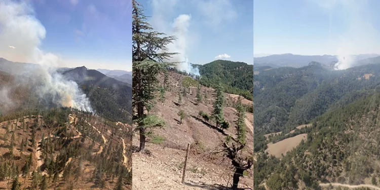 Feke’de orman yangını