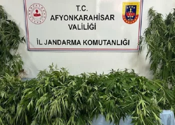 Afyonkarahisar’da uyuşturucu ele geçirdi