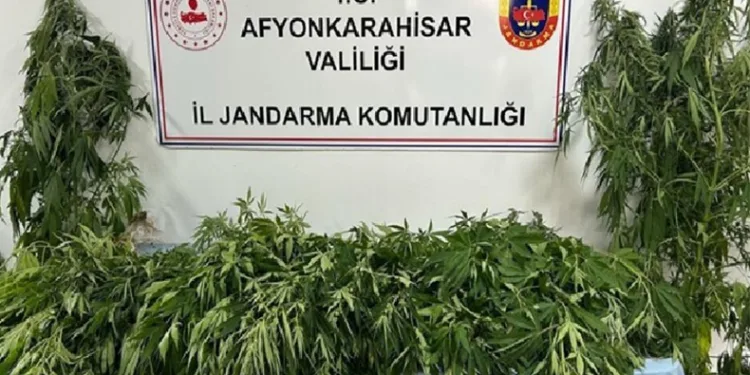 Afyonkarahisar’da uyuşturucu ele geçirdi