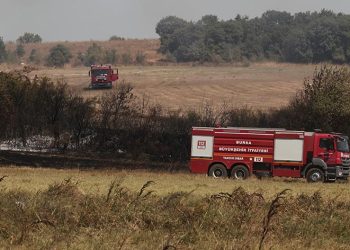 Bursa’da anız şeklinde başlayan yangın ormana sıçradı