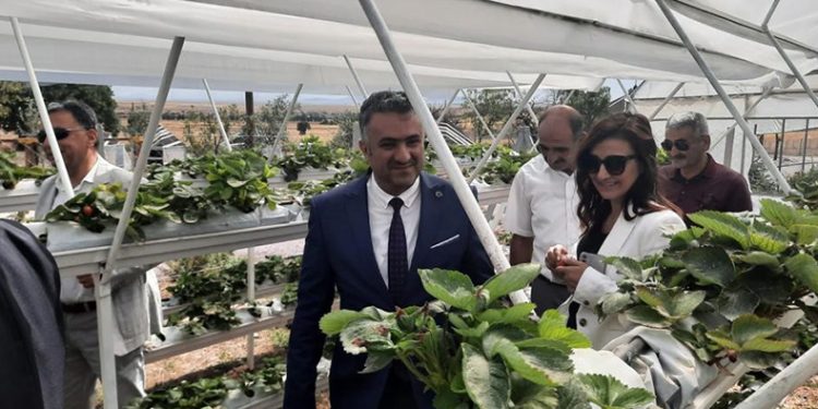 Kırsal kalkınmaya ‘BEBKA’ desteği