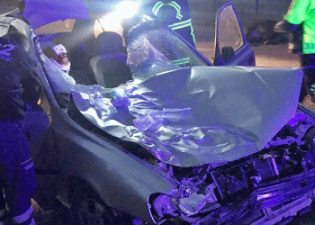 Otomobil büyükbaş hayvanlara çarptı:2 yaralı