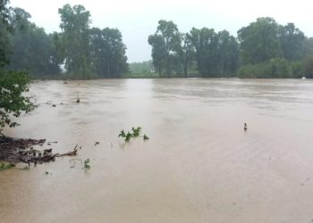 Yoğun yağış hayatı felç etti