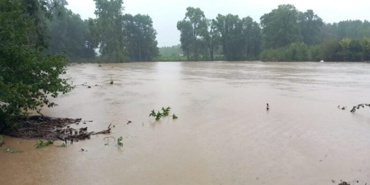 Yoğun yağış hayatı felç etti