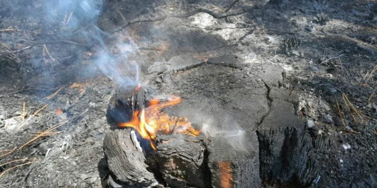 Bir günde 36 yıldırım yangını