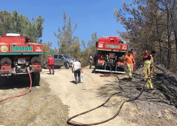 Adana’da orman yangını söndürüldü