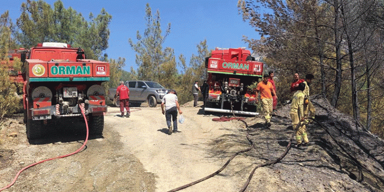 Adana’da orman yangını söndürüldü