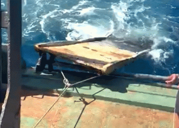 Hayalet ekibi, denizden gemi merdiveni çıkardı