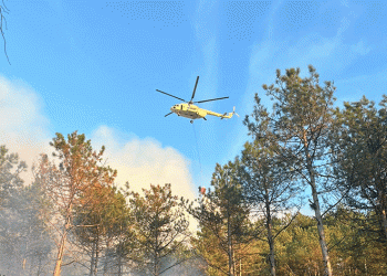 Karabük’teki orman yangını söndürüldü
