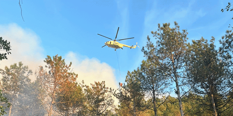 Karabük’teki orman yangını söndürüldü