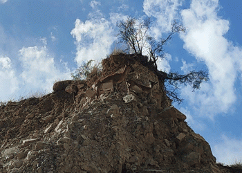 Dağ keçileri doğal hayatlarında görüntülendi