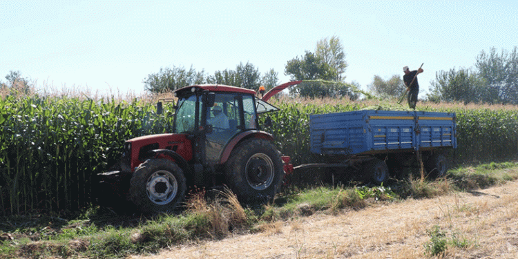 Silajlık mısır hasat etkinliği düzenlendi