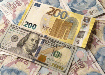 Döviz fiyatında son gelişmeler