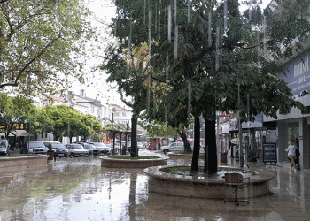 Muğla’yı serinleten yağış