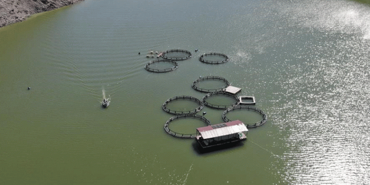 Meşhur barajda balık tutmak yasaklandı