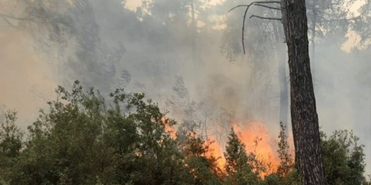 Çanakkale’de yıldırımdan çıkan yangın