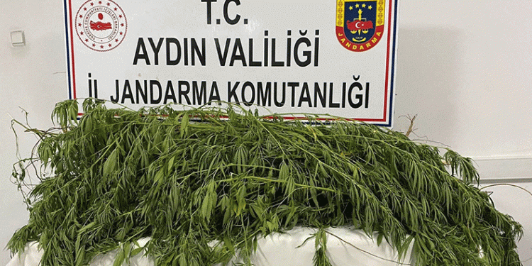 Germencik’te uyuşturucu operasyonu