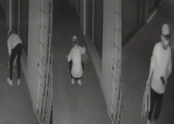 Yavru köpeğin canına kıyan sanık yargılanıyor